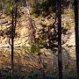 Rock Wall - Horseshoe Lake